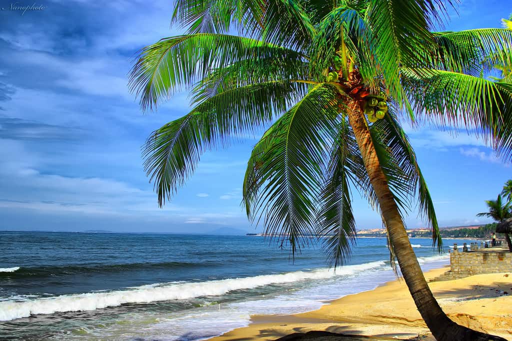 Mỹ Khê - Bãi biển đẹp nhất ở Đà Nẵng