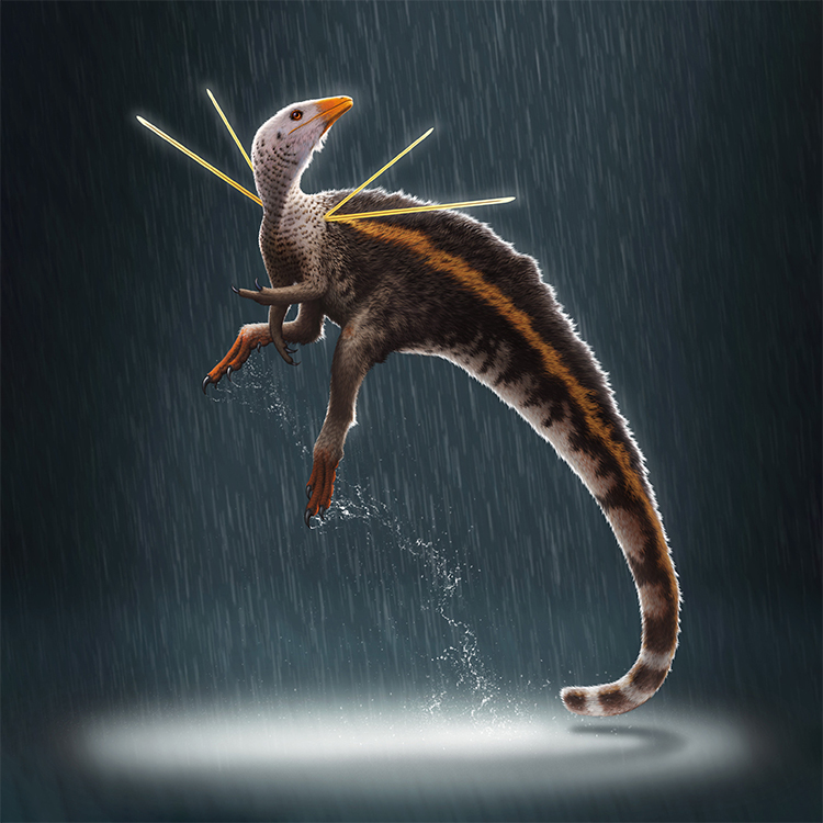 Phát hiện mới về 1 loài khủng long kì dị qua hóa thạch