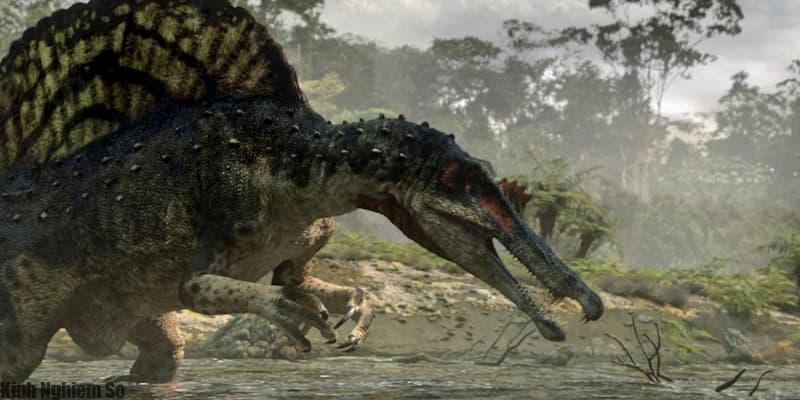 Phát hiện mới về 1 loài khủng long kì dị qua hóa thạch